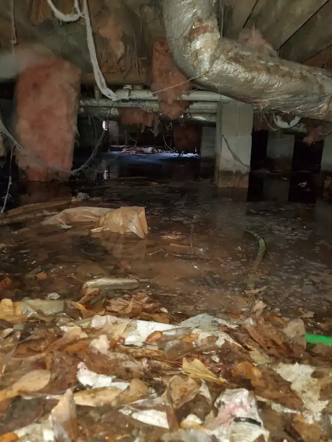 Crawl space flood assessment for Leak Detection & Repair in Seguin