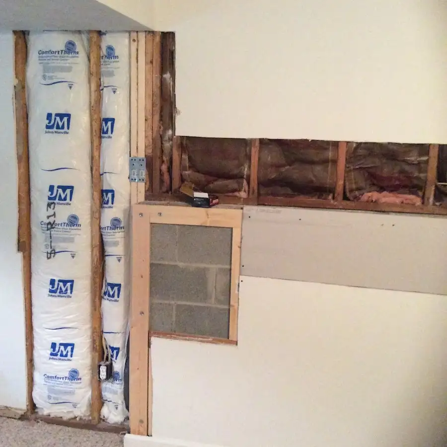 Wall insulation replacement during Odor Removal & Deodorization in Seguin